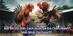 Tham Khảo Caách Nuôi Gà Chân Mạnh Chuẩn Chỉ Có Tại W365