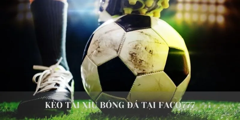 Kèo tài xỉu bóng đá tại W365