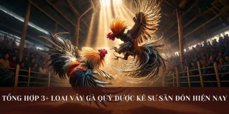 Tổng Hợp 3+ Loại Vảy Gà Quý Được Sư Kê Săn Đón Nhất Hiện Nay 1 Tổng Hợp Cho Bạn 3 Loại Vảy Gà Quý Cực Hiếm Hiện Nay