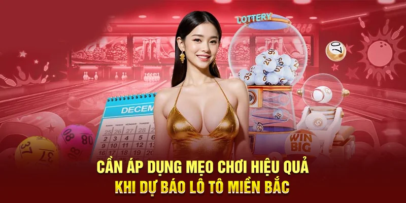 Dự Báo Lô Tô Miền Bắc - Phân Tích Chu Kỳ Và Chốt Số Chính Xác 99% 4 Cần áp dụng mẹo chơi hiệu quả khi dự báo lô tô miền Bắc