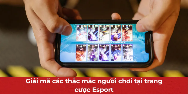 Giải mã các thắc mắc người chơi tại trang cược Esport