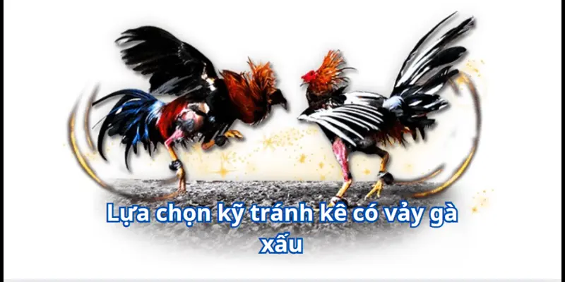 Lựa chọn kỹ tránh kê có vảy gà xấu