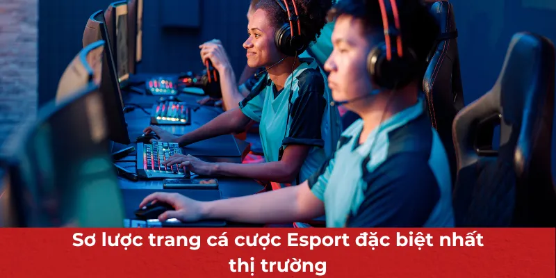 Sơ lược trang cá cược Esport đặc biệt nhất thị trường