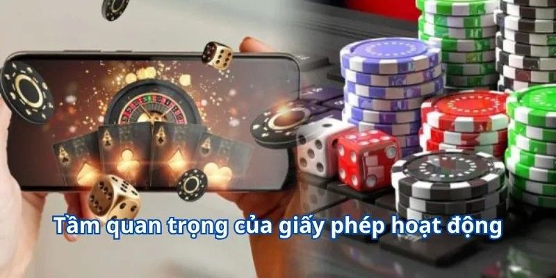 Tầm quan trọng của giấy phép hoạt động W365